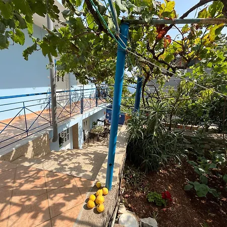 Casa de hóspedes Dina House